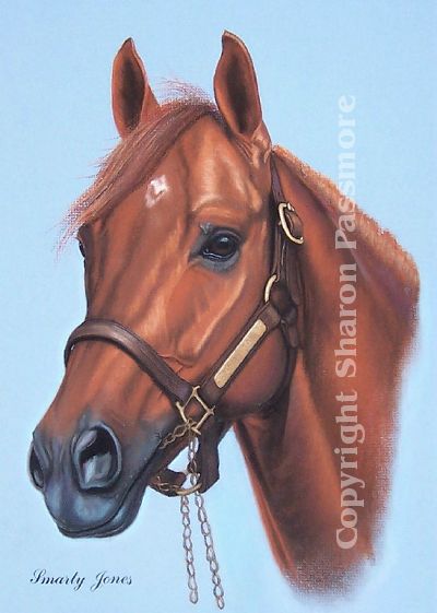 mon cheval