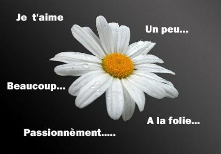 que sais  beau l'amour