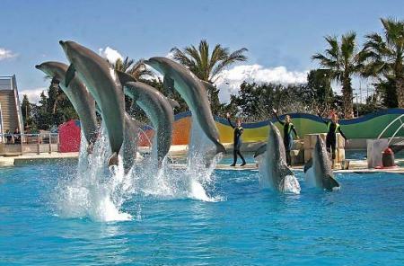 mes futur vacances
